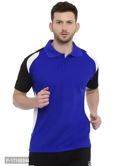 Men Colorblocked Polo T-shirt