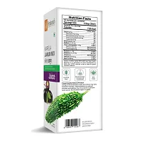 Karela  Mix Jamun Juice 1000ml-thumb3