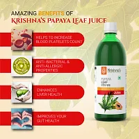 Papaya Leaf Juice 1000ml-thumb1