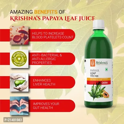 Papaya Leaf Juice 1000ml-thumb2