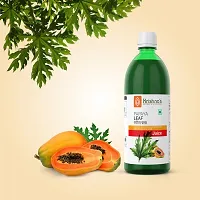 Papaya Leaf Juice 1000ml-thumb2