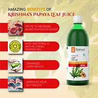 Krishna's Papaya Leaf Juice - 500 ml-thumb4