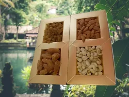 Chastity festival Dry fruits gift box - 650gram-thumb1