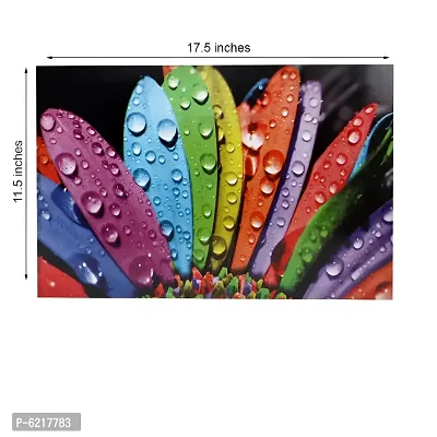 Multipurpose Refrigerator Mats Set Of 8 Pcs For Single Door Fridge (Size: 12X17 Inches, Color : Multicolour)-thumb3