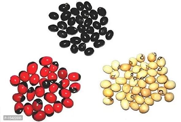 JMH Rare Chirmi Seeds Combo :Red Gunja Black Chirmi White Gurinvida Beads Ratti Gumchi Madhuyastika for Lakshmi Mahakali and Saraswati -153 Pcs (51 Pcs Each)-thumb0