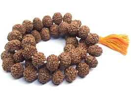 Rudraksha 5 Mukhi RUDRAKSHA JAAP MALA/Beads for Pooja (Astrology) Big(54+1 Beads)-thumb1