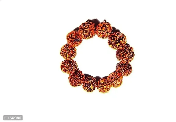 Zoltamulata? Six face 6 Mukhi Rudraksh Beads Bracelet