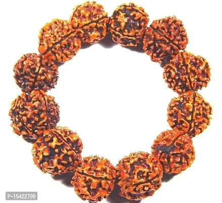 Zoltamulata? Five Face Rudraksha Panch Mukhi Rudraksh Bracelet Beads