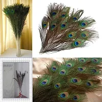 10 Pcs Natural Peacock Feather with Eyes Tail Feathers for Home Decor-thumb1