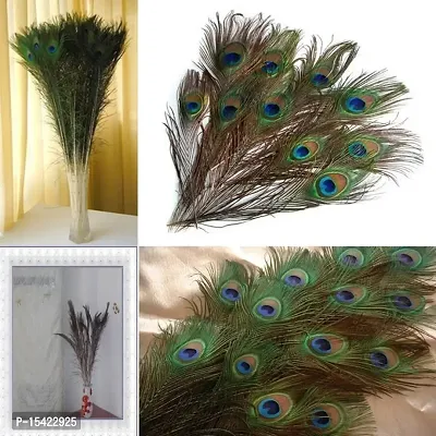 10 Pcs Natural Peacock Feather with Eyes Tail Feathers for Home Decor-thumb2