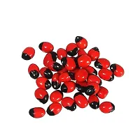 JMH Rare Chirmi Seeds Combo :Red Gunja Black Chirmi White Gurinvida Beads Ratti Gumchi Madhuyastika for Lakshmi Mahakali and Saraswati -153 Pcs (51 Pcs Each)-thumb1