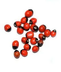 Natural Rakt Gunja -Red Chirmi Beads -Abrus Seed -Gamanchi -Gaunchi -Rati -Gulaganji -Guruvinda -Guruginia -11 pcs -Good for Wealth Benefit-thumb1