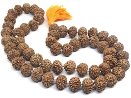 Rudraksha 5 Mukhi RUDRAKSHA JAAP MALA/Beads for Pooja (Astrology) Big(54+1 Beads)-thumb2