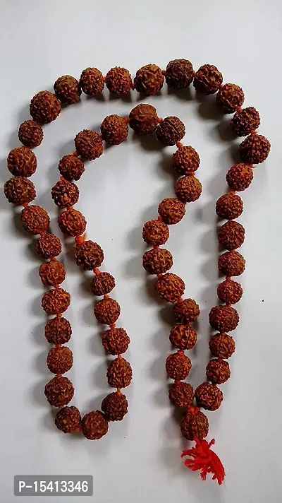 Rudraksha 5 Mukhi RUDRAKSHA JAAP MALA/Beads for Pooja (Astrology) Big(54+1 Beads)-thumb0