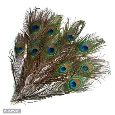 10 Pcs Natural Peacock Feather with Eyes Tail Feathers for Home Decor