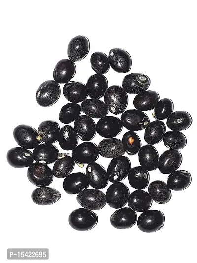 JMH Rare Chirmi Seeds Combo :Red Gunja Black Chirmi White Gurinvida Beads Ratti Gumchi Madhuyastika for Lakshmi Mahakali and Saraswati -153 Pcs (51 Pcs Each)-thumb3