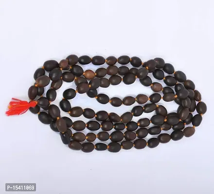 Jai Maa Ganga Rudraksh Lotus Seeds Mala, Kamal Gatta Mala (108+1 Beads) for Lakshmi Pooja  Hindu Meditation