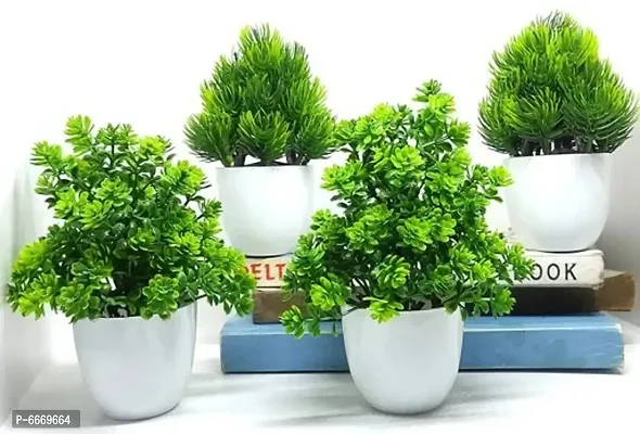 Fabulous Plants Pack Of 4-thumb0