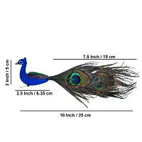 2 Set Artificial Peacock for home decoration-thumb3