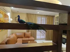 2 Set Artificial Peacock for home decoration-thumb4