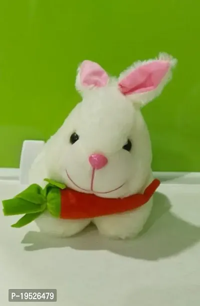 Carrot Rabbit With Stuffed Soft Plush Toy White