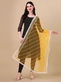 Beautiful  Multicoloured Net Dupatta For Women-thumb1
