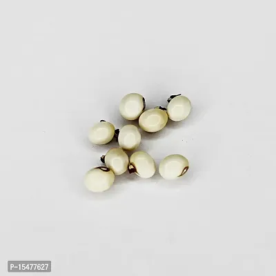 Om BhariPuri Natural  Original Rare White Chanoti Swetha Gunja Rakt Gunja Gurivanta White Rosary Pea Chanoti Latumoni White Chirmi Seeds Safed Gumchi(50 gm)-thumb2