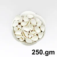 Om BhariPuri Natural Kaudi for Puja and Decoration White Kodi for Diwali Puja/Laxmi Puja Safed Kaudi - Kawdi - Kaudi - Kowdi - Cowrie - Koudi - Kodi - Lakshmi Kaudi Shells (250 gm)-thumb1