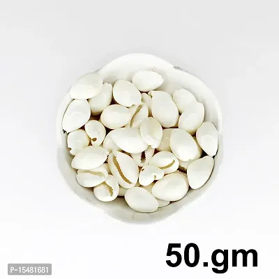 Om BhariPuri Natural Kaudi for Puja and Decoration White Kodi for Diwali Puja/Laxmi Puja Safed Kaudi - Kawdi - Kaudi - Kowdi - Cowrie - Koudi - Kodi - Lakshmi Kaudi Shells (50 gm)-thumb2