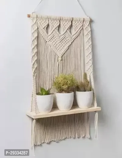 STON HNG Wall Hanging Shelf Indoor Plant Hanger Flower pots Holder-thumb3