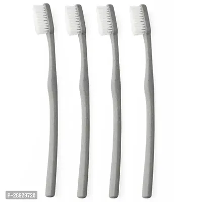 Beautiful Soft Bristle Tooth Brushes Set Of 4