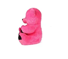 Pink Teddy Bear Hug able Soft  Toys | Happy birthday gifts | Valentines Gifts |-thumb1