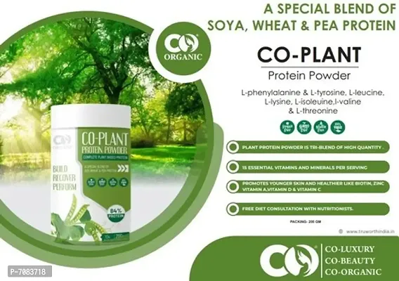 Co-Plant Protein Powder Ingredients: L-Phenylalanine  L-Tyrosine-thumb0