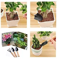 Mini Garden Tool Set Gardening Shovels, Spade, Rale with Wooden Handles, Gardening Tool Set-thumb3