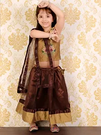 "Superminis Baby Girls 3 Layered Net Lehnga and Embroidered Top Dress with Coloured Dupatta (Brown, 2-3 Years)"-thumb2
