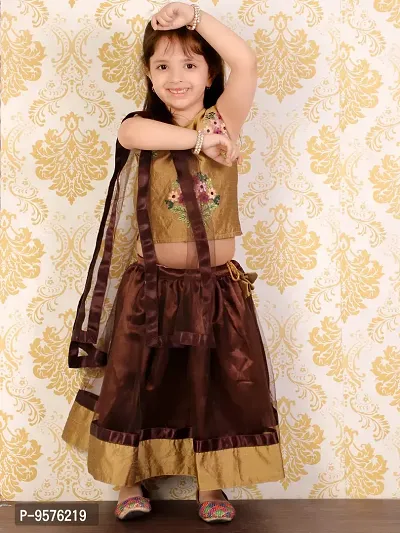 "Superminis Baby Girls 3 Layered Net Lehnga and Embroidered Top Dress with Coloured Dupatta (Brown, 2-3 Years)"-thumb3