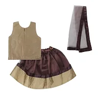 "Superminis Baby Girls 3 Layered Net Lehnga and Embroidered Top Dress with Coloured Dupatta (Brown, 2-3 Years)"-thumb1