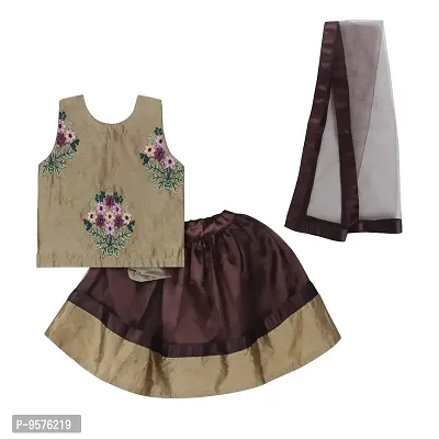 "Superminis Baby Girls 3 Layered Net Lehnga and Embroidered Top Dress with Coloured Dupatta (Brown, 2-3 Years)"-thumb0