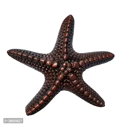 Star Fish  Iron Door Knocker