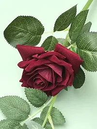 Daissy Raise Silk Rose Flowers 1pc Real Looking Fake Big Roses Velvet Roses-thumb2
