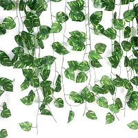 VIMIFORYOU Artificial Money Plants Green Leafs Creepers, Artificial Vines Garlands for Home Decoration, Wall Hanging, Party Decoration, Office Decoration (Pack of 6 Creeper) (6 Feet Each).-thumb4
