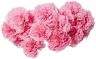 Daissy Raise Beautiful Decorative Artificial Carnation Flower Bouquet for Home d?cor (50 cm Tall, 18 Flower Stems, Bay/Pink)-thumb1