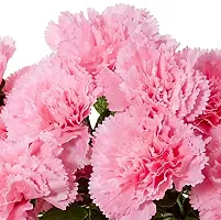 Daissy Raise Beautiful Decorative Artificial Carnation Flower Bouquet for Home d?cor (50 cm Tall, 18 Flower Stems, Bay/Pink)-thumb3