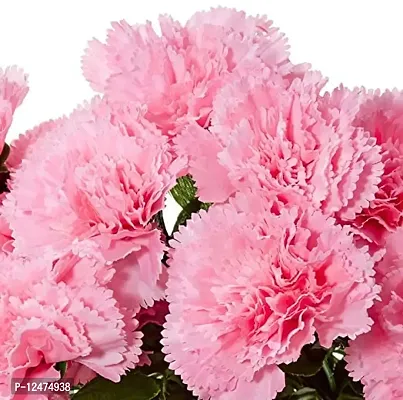 Daissy Raise Beautiful Decorative Artificial Carnation Flower Bouquet for Home d?cor (50 cm Tall, 18 Flower Stems, Bay/Pink)-thumb4