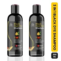 Black Hair Dye Shampoo 3 In 1-thumb1