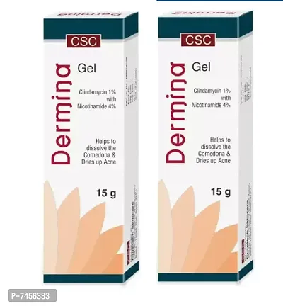 DERMINA Anti Acne Gel For Reduce Inflammation Of Skin  Pimples, Acne, Scars, Glowing  Radiant Skin 15gm (Pack Of 2)