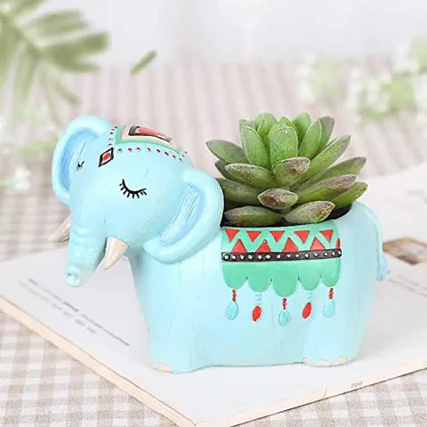 Cute Table Top Planters