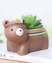 Brown Bear Pot-thumb1