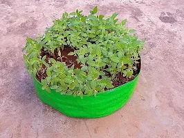 Round Grow Bag for Gardening Pack of 3-thumb2