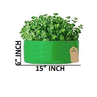 Round Grow Bag for Gardening Pack of 3-thumb1